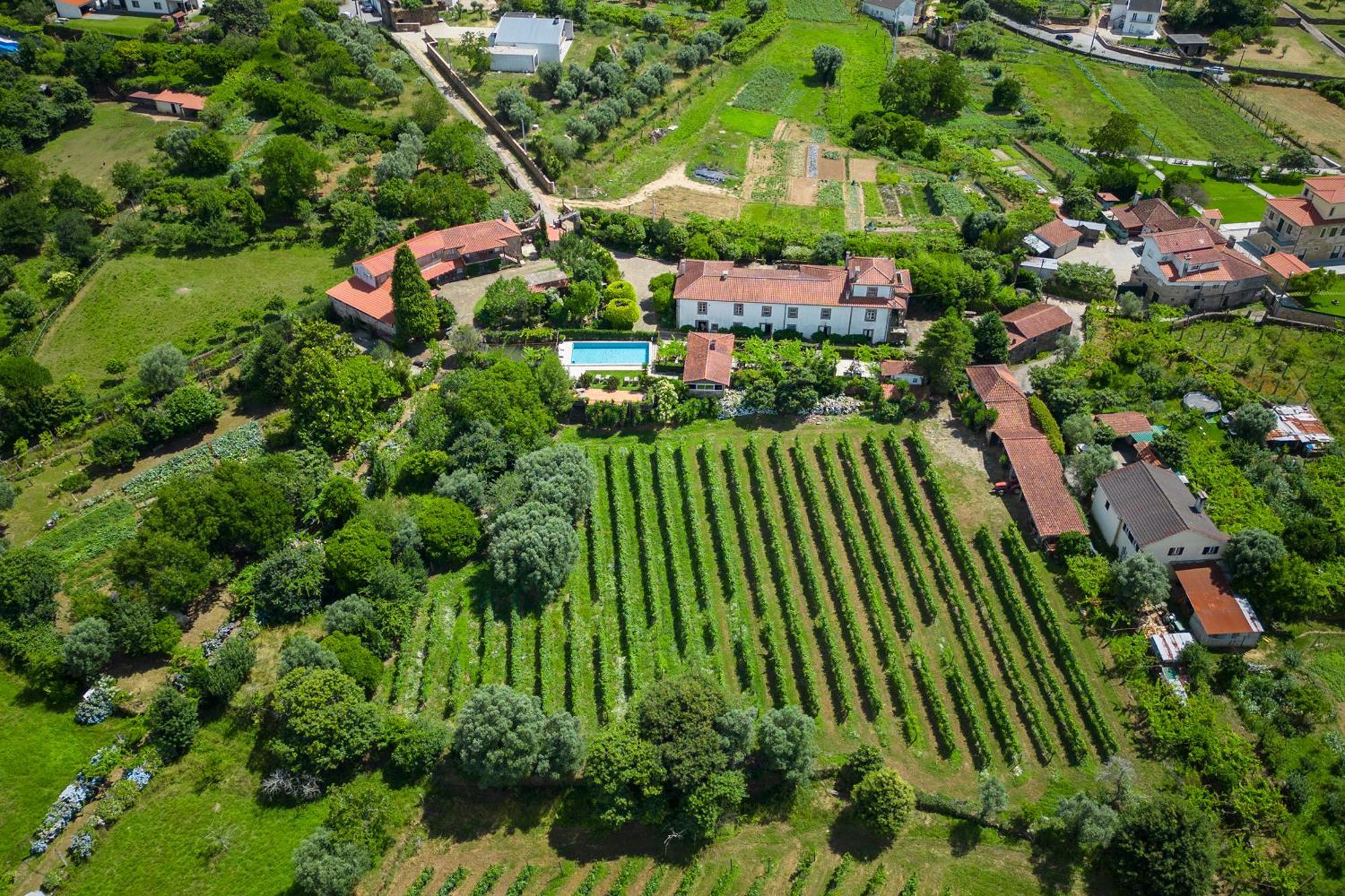 Gasthaus Quinta Da Aldeia Ponte de Lima Exterior foto
