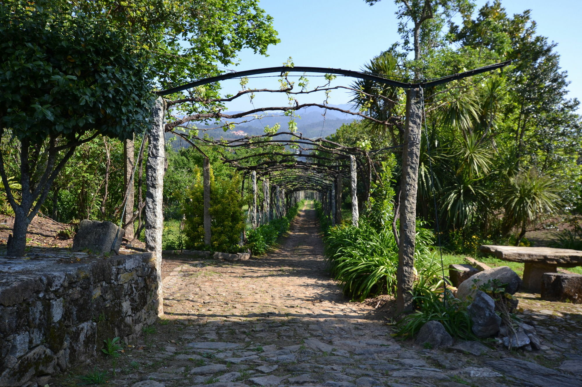Gasthaus Quinta Da Aldeia Ponte de Lima Exterior foto